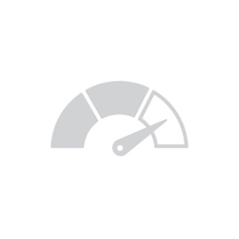 Gauge Icon